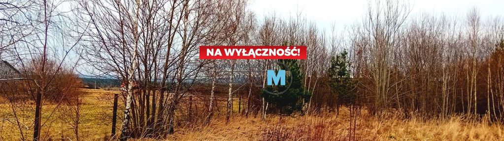 Działka inwestycyjna w centrum gór świętokrzyskich