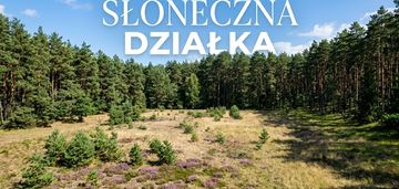 Olbrzymia działka w lesie z prawem zabudowy!