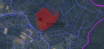 Działka o dużym zalesieniu