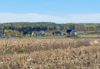 Działka na sprzedaż 4000m2