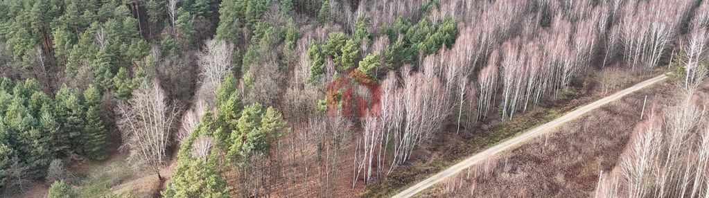 Działki budowlane przy lesie - czarna sędziszowska