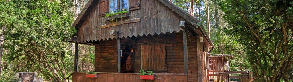 Żarki letnisko/dom w środku lasu z dużą działką