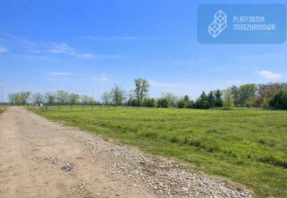 5 minut kampinos, 30 minut warszawa