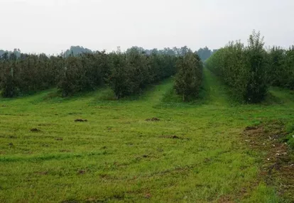 Działka na sprzedaż 152m2