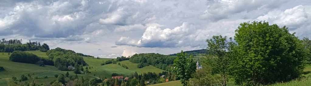 Działki rolne pod lasem z pięknym widokiem