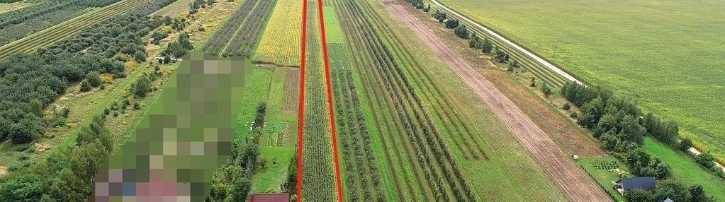 Działka rolno-budowlana, 2,5 ha, wola pękoszewska