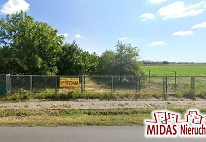 2556 m2 przy asfalcie okolice kruszyna