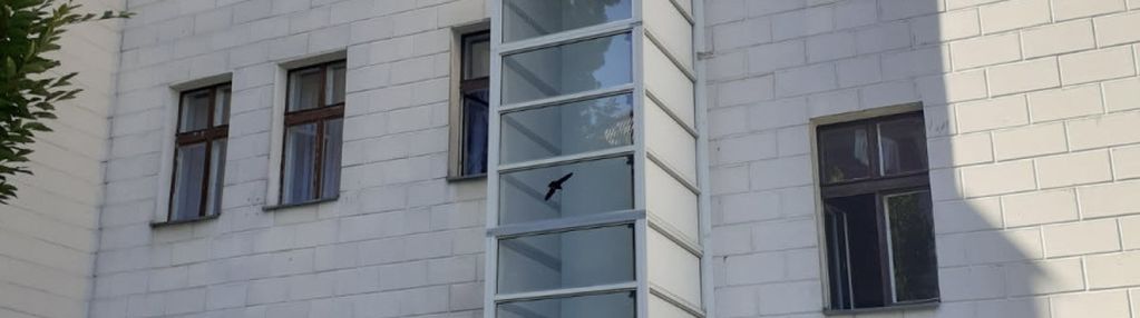Przestronne mieszkanie w kamienicy z windą.