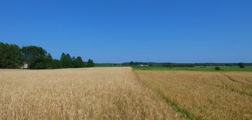 Spokojna okolica. ładnie położona.