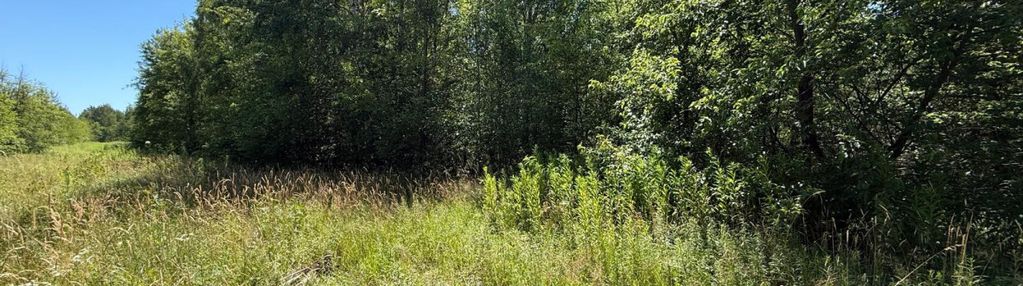 Działka dla dewelopera - 2,5 ha, konstancin