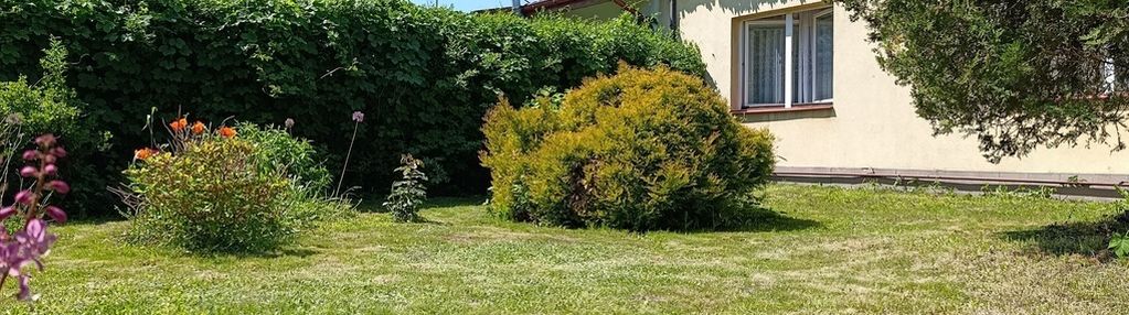 Dom na sprzedaż 64 m2 siedlce