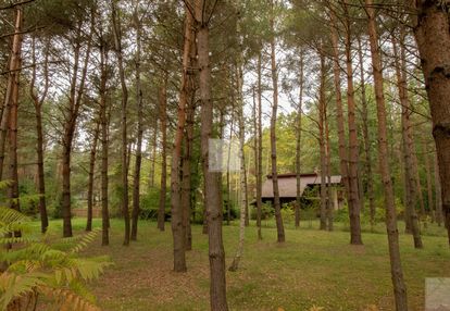 Kompleks działek z wz