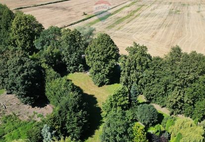 Działka siedliskowa cedry małe|gdańsk|trójmiasto