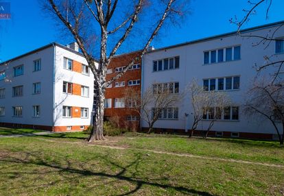 Ciche mieszkanie, zadbana kamienica - duża piwnica
