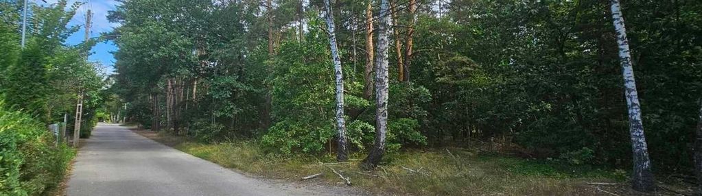 Międzylesie | 1440 m² wśród zieleni