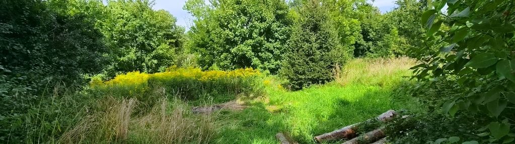 W zaciszu drzew -działka z wz | warmia | lubianka
