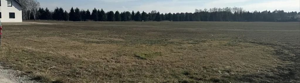Działka budowlana grodzisk, żabia wola
