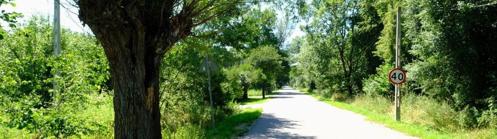 Dom tuż przy granicy kampinosu (kpn)? tak!