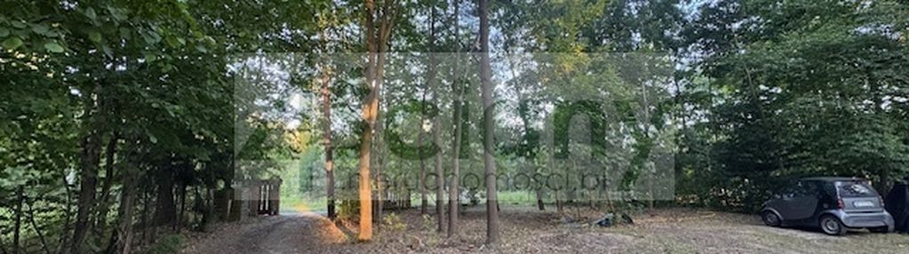 Działka na granicy złotokłosu i henrykowa