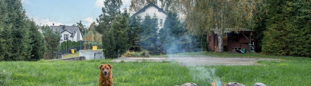 Idealne miejsce na twój dom - gowino 997m2