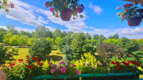 3-pokoje z widokiem na park migdałowy