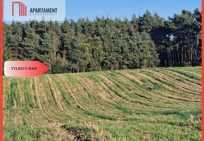 Działka budowlana z linią brzegową jeziora