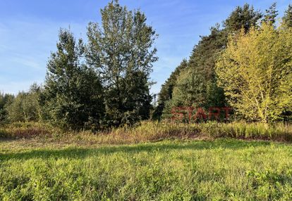 Działka rolna 2,84ha w nosach, koło ojrzanowa.