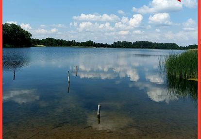 Sprzedaż praw do 2 działek rod łobżenica.