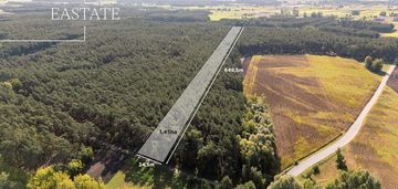 Działka leśna / natura 2000