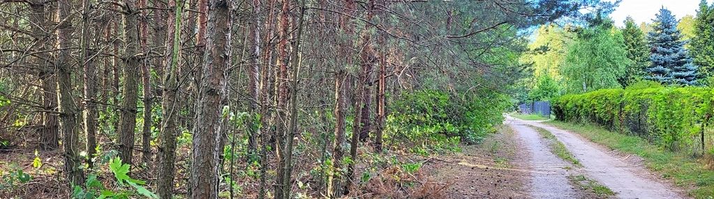 Cisza, natura i jeziora – rogóźno, do negocjacji