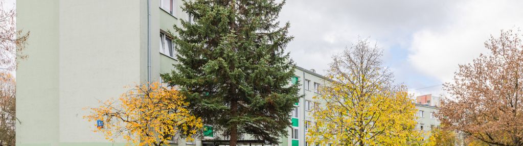 Bielany/chomiczówka 3 pok. cisza/zieleń