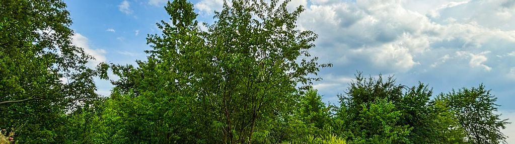 Wyjątkowa działka z przestrzenią rekreacyjną 🌳