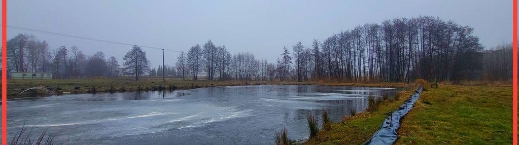 Duża działka z zarybionym stawem. niska cena