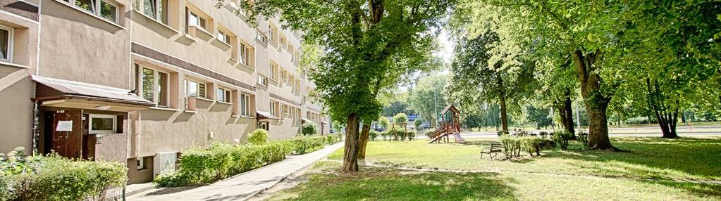 *kawalerka*antoniuk*1 piętro*