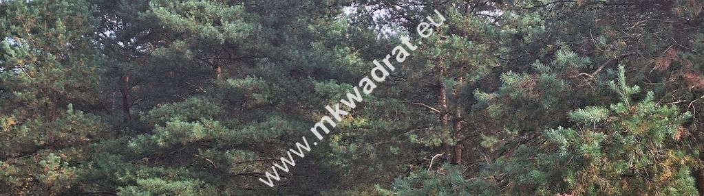 Wyjątkowa nieruchomość w świetnej lokalizacji