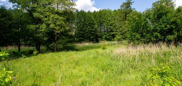 Działka skórka, gmina krajenka pow. 1741 m2, rzeka