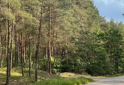 Działka o pow.6883 m² w zielonej okolicy.
