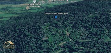 Działka leśna 807 m² na sprzedaż – sopotnia wielka