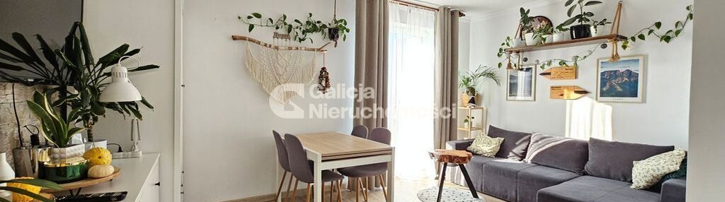 Mieszkanie blisko lasu