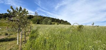 Działka budowlana 15ar *przyszowa beskid wyspowy*