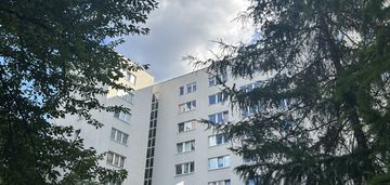 Widok na centrum | do własnej aranżacji | piwnica
