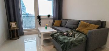 Jasna kawalerka w zielonej części katowic