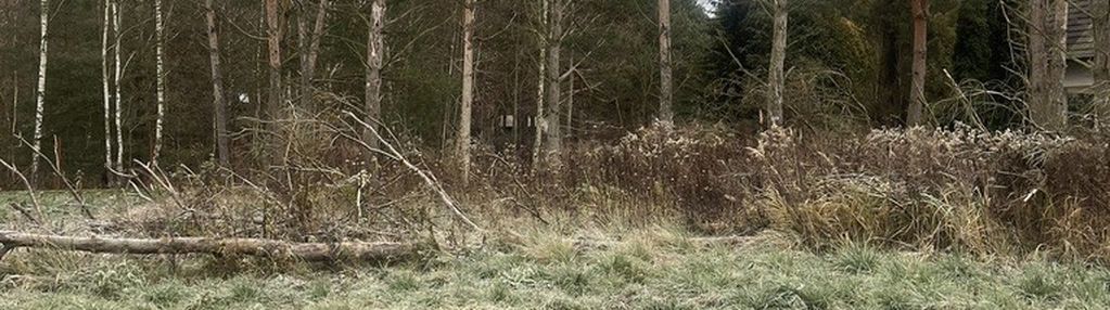 Działka budowlana 940 m² blisko lasu.