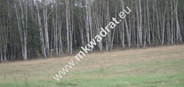 Piękne siedlisko tuż przy kampinowskim parku nar.