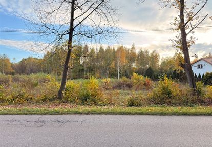 Działka rekreacyjna blisko miasta płońsk