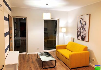 Polesie - do wynajęcia 2 pok. ul. legionów 66