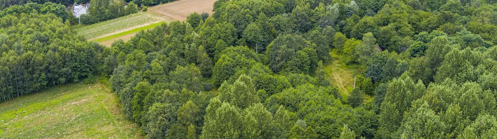 Działka rolna- buchcice- tuchów- małopolska