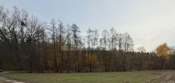 Działka na granicy z lasem