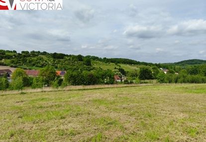 Skrajna działka pod lasem
