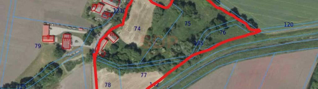 Działka 1,74 ha /dom do remontu / siedlisko